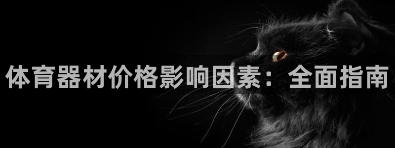 极悦平台注册登录入口网址：体育器材价格影响因素：全面