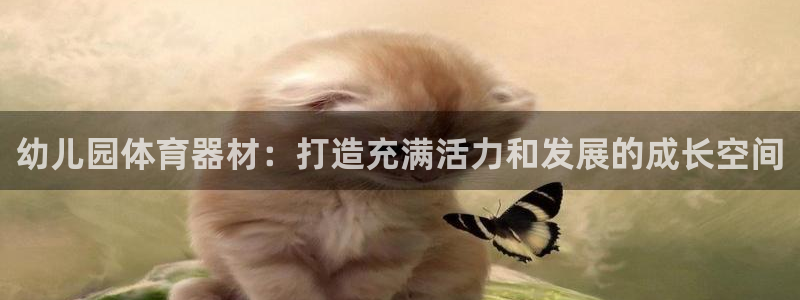 极悦平台用户评价：幼儿园体育器材：打造充满活力和发展
