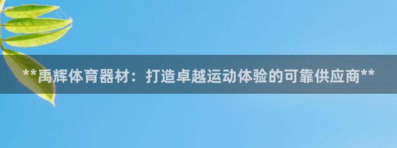极悦娱乐代理怎么样：**禹辉体育器材：打造卓越运动体