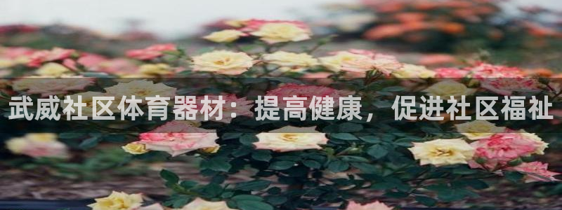 极悦娱乐会被骗吗知乎：武威社区体育器材：提高健康，促
