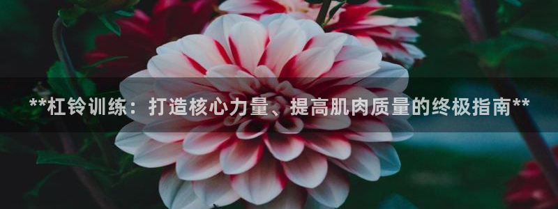 极悦娱乐的创始人背景故事介绍：**杠铃训练：打造核心
