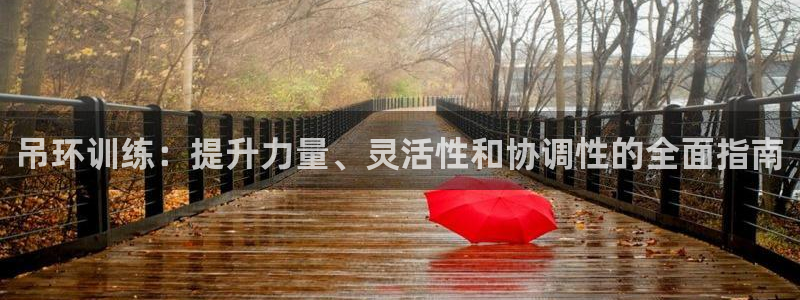 极悦平台官网登录不了了：吊环训练：提升力量、灵活性和