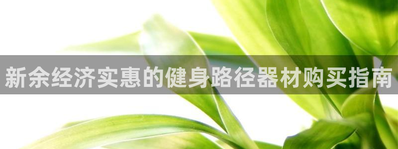极悦娱乐公司最新招聘信息：新余经济实惠的健身路径器材