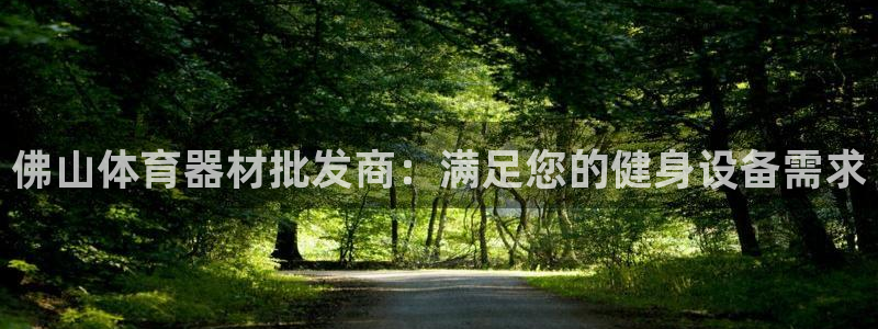极悦平台与网易合作详情在哪：佛山体育器材批发商：满足