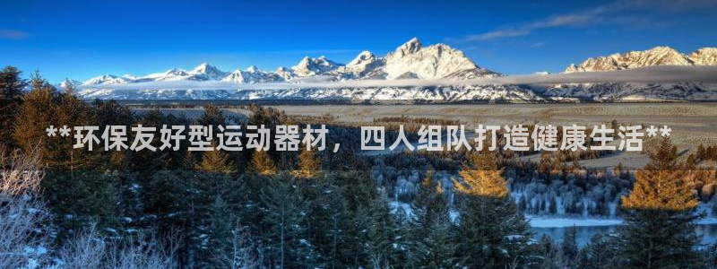 极悦平台下载安装：**环保友好型运动器材，四人组队打