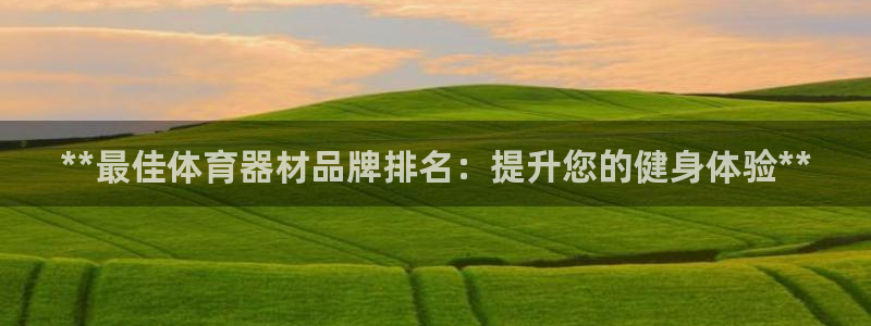 极悦平台有风险吗安全吗：**最佳体育器材品牌排名：提