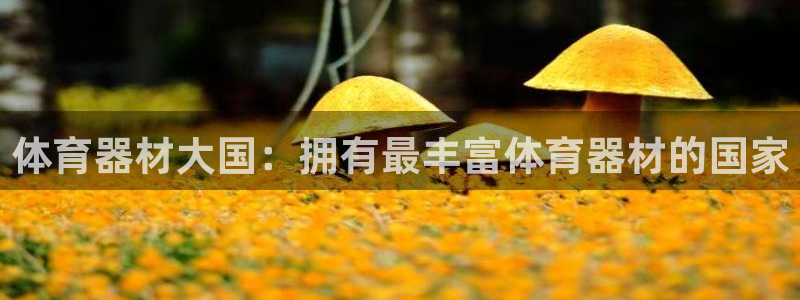 极悦娱乐公司最新招聘信息网：体育器材大国：拥有最丰富