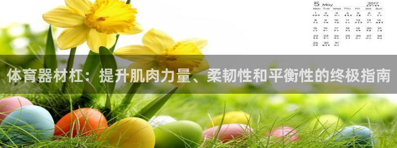 极悦娱乐的背景和历史背景：体育器材杠：提升肌肉力量、