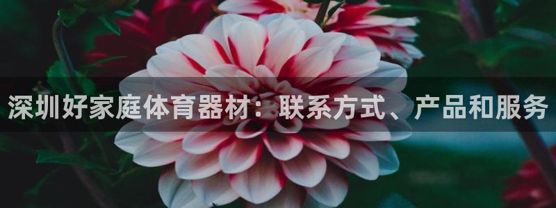 极悦平台注册资金多少钱：深圳好家庭体育器材：联系方式