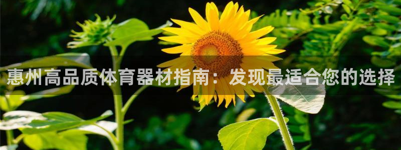 极悦平台是正规平台吗安全吗：惠州高品质体育器材指南：