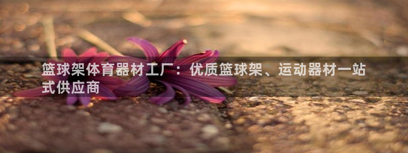 极悦娱乐最新版本更新内容介绍：篮球架体育器材工厂：优