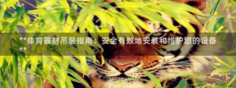 极悦平台很7O777：**体育器材吊装指南：安全有效