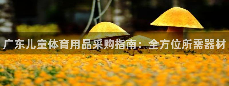 极悦平台官网入口网址：广东儿童体育用品采购指南：全方