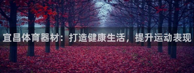 极悦娱乐贴吧最新消息：宜昌体育器材：打造健康生活，提