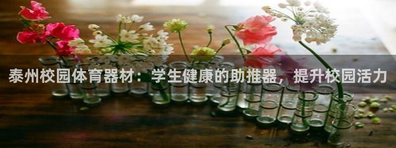 极悦平台注册官方网站下载安装手机版：泰州校园体育器材