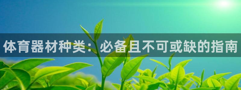 极悦娱乐旗下艺人名单：体育器材种类：必备且不可或缺的