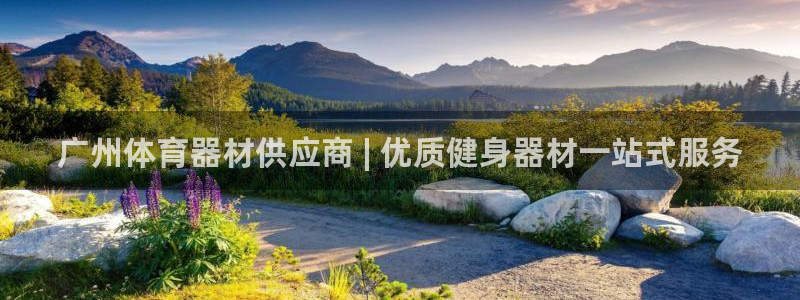 极悦娱乐的背景和历史背景介绍：广州体育器材供应商 |