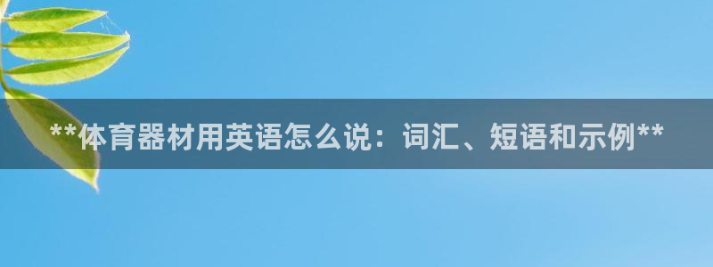 极悦娱乐的最新版本更新内容是什么：**体育器材用英语