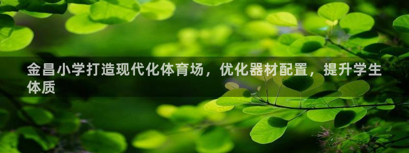 极悦娱乐的创始人背景故事介绍：金昌小学打造现代化体育