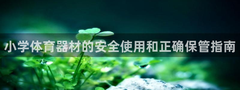 极悦平台用户评价在哪里看：小学体育器材的安全使用和正