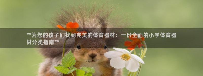 极悦平台官网入口登录：**为您的孩子们找到完美的体育
