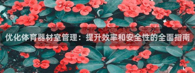 极悦平台官方网站入口链接手机：优化体育器材室管理：提