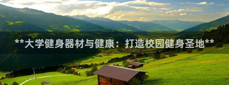 极悦娱乐贴吧百度：**大学健身器材与健康：打造校园健