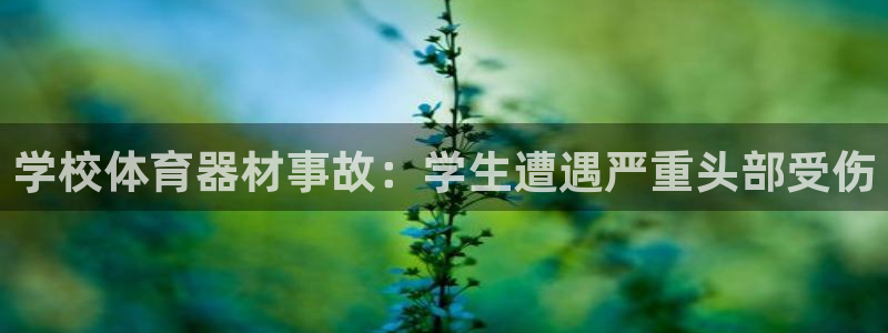 极悦平台注册资金多少钱：学校体育器材事故：学生遭遇严