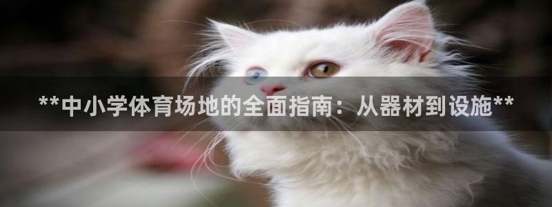 极悦平台代理怎么做的：**中小学体育场地的全面指南：