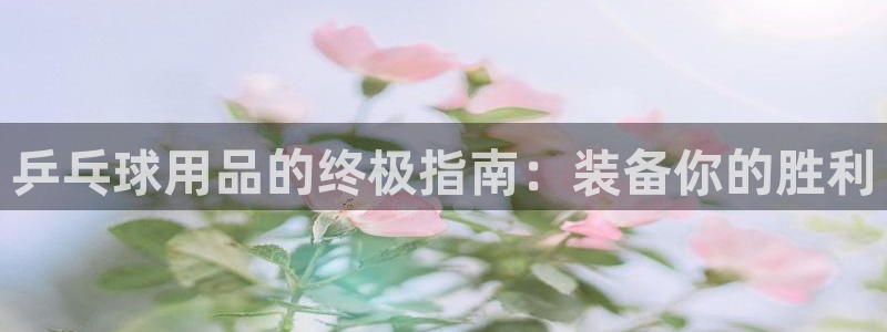 极悦娱乐负责人：乒乓球用品的终极指南：装备你的胜利