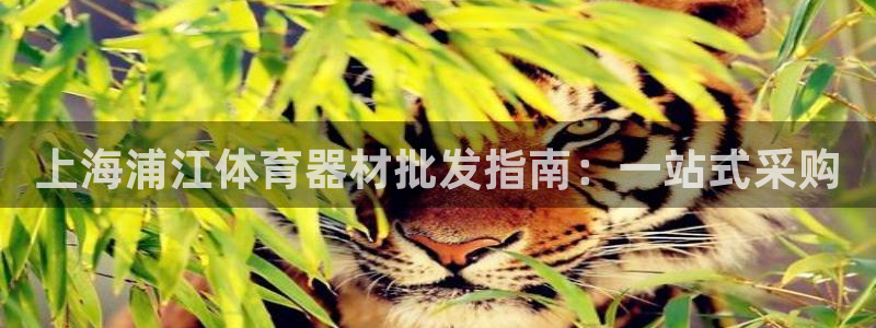 极悦牙膏怎么样好用吗：上海浦江体育器材批发指南：一站