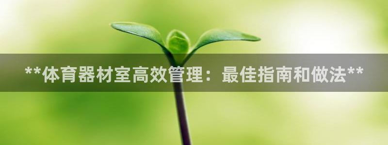 极悦娱乐官网app下载安装：**体育器材室高效管理：