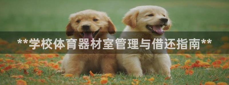 极悦娱乐官网APP下载：**学校体育器材室管理与借还