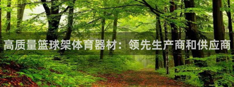 极悦官方网站入口：高质量篮球架体育器材：领先生产商和