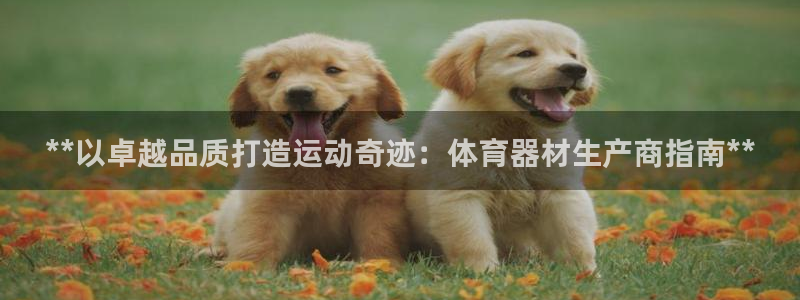 极悦平台官方网站是什么：**以卓越品质打造运动奇迹：