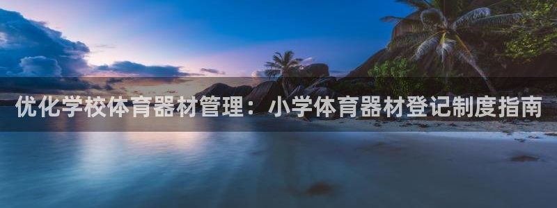 极悦平台官方网站下载安卓：优化学校体育器材管理：小学