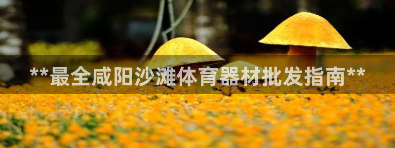 极悦娱乐官网最新版本更新内容视频：**最全咸阳沙滩体