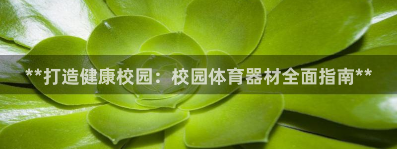 极悦娱乐创始人背景故事是什么：**打造健康校园：校园