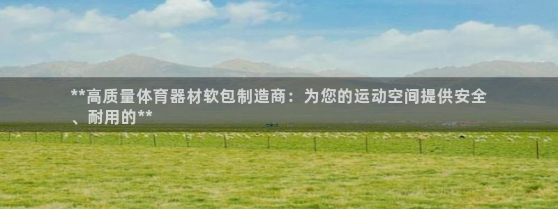 极悦平台注册用户名格式是什么：**高质量体育器材软包