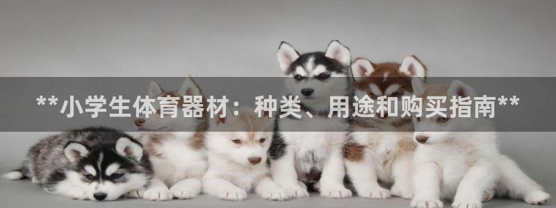 极悦娱乐代理多少钱一个月：**小学生体育器材：种类、
