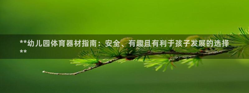 极悦平台官网登录入口：**幼儿园体育器材指南：安全、