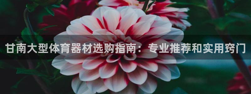 极悦平台注册用户名生成器是什么：甘南大型体育器材选购