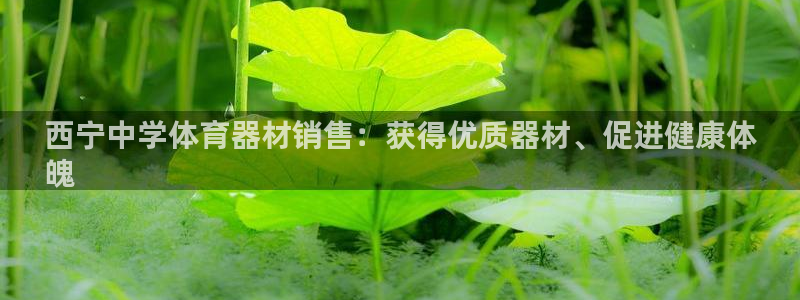 极悦平台登录入口注册不了：西宁中学体育器材销售：获得
