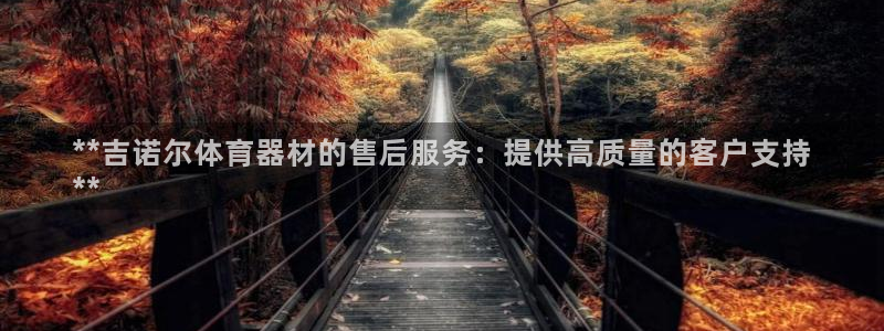 极悦平台官网下载中心app：**吉诺尔体育器材的售后