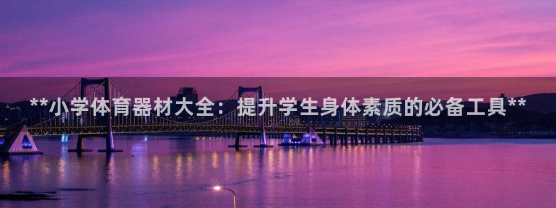 极悦官方网站入口：**小学体育器材大全：提升学生身体