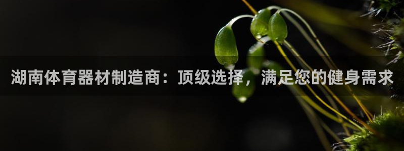 极悦平台注册用户名验证失败：湖南体育器材制造商：顶级