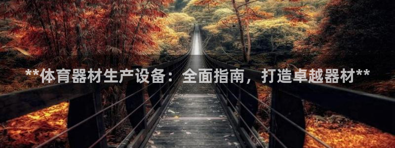 极悦平台用户评价在哪里看：**体育器材生产设备：全面