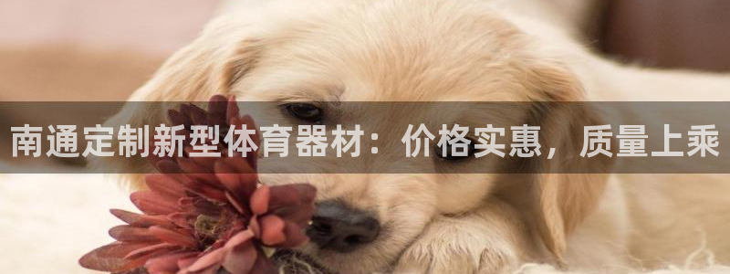极悦平台代理怎么样：南通定制新型体育器材：价格实惠，