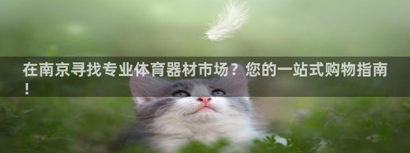 极悦平台注册和登录页面一样吗：在南京寻找专业体育器材