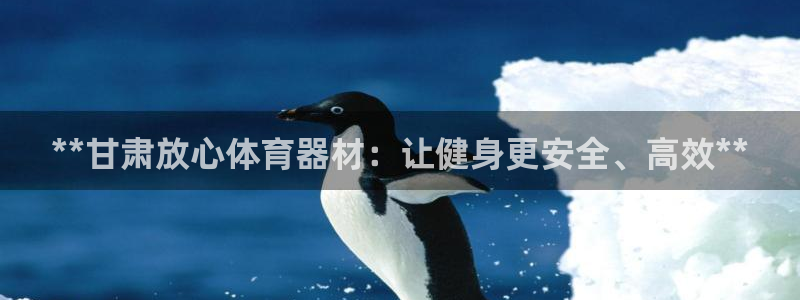 极悦娱乐成7O777：**甘肃放心体育器材：让健身更